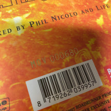 Load image into Gallery viewer, Life Of Agony "Soul Searching Sun" LP (col)