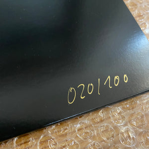Sleep "Volume 2" one-sided 12"